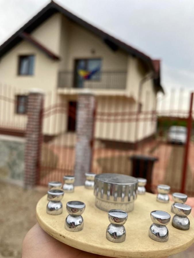 Casa Brancusiana Appartement Târgu Jiu Buitenkant foto