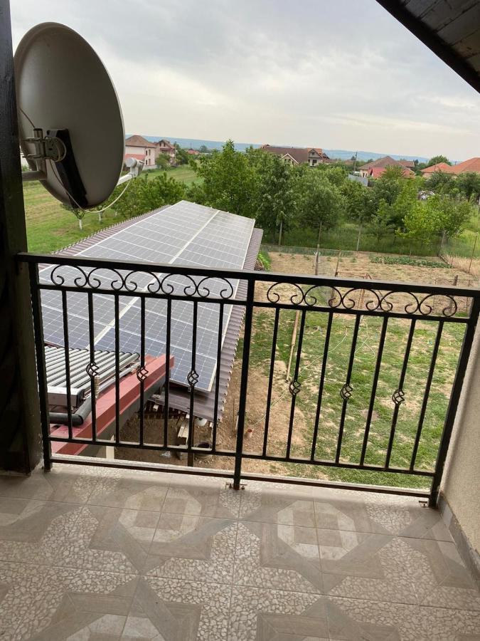 Casa Brancusiana Appartement Târgu Jiu Buitenkant foto