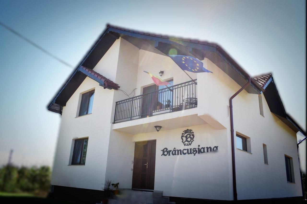Casa Brancusiana Appartement Târgu Jiu Buitenkant foto